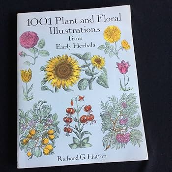 519②Elsa Felsko 植物図鑑　植物画　洋書　古書　ボタニカルアート 42⑦ドイツ人気希少植物画 植物図鑑 洋書 古書 ボタニカルアート